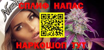 стафф Будённовск