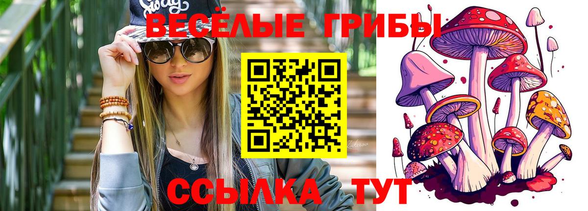 Псилоцибиновые грибы Psilocybe Михайловск