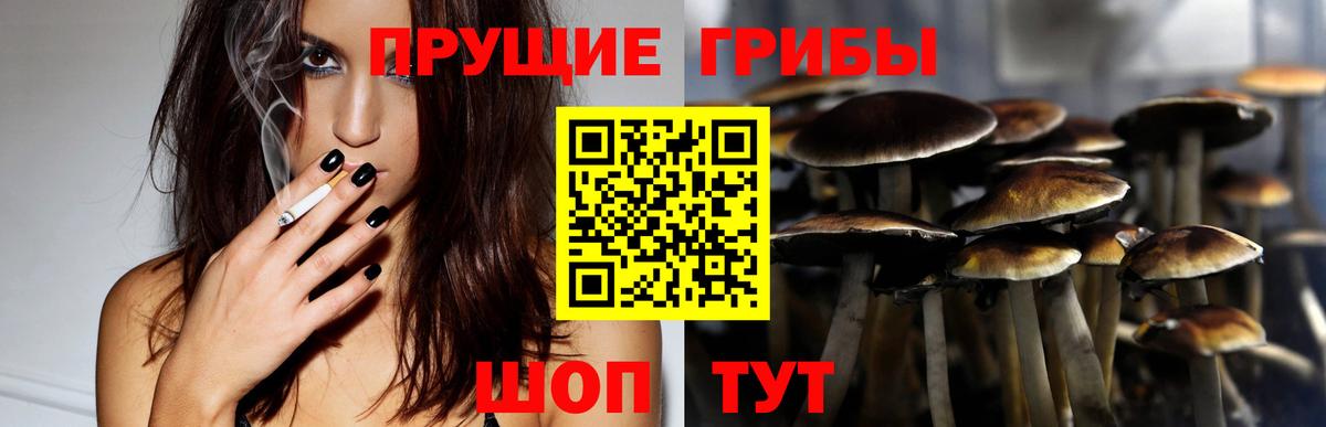 Михайловск  Псилоцибиновые грибы Magic Shrooms  купить закладку  Вход с VPN 